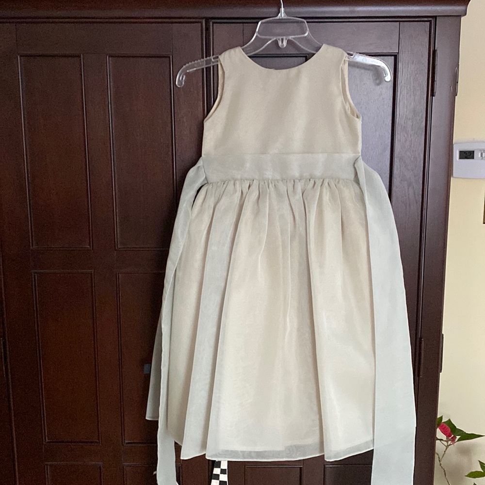 NWOT sz 6 special Occasion/ flower girl dress in sage green. Lined/tulle under - Picture 2 of 16
